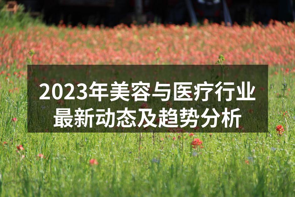 2023年美容与医疗行业最新动态及趋势分
